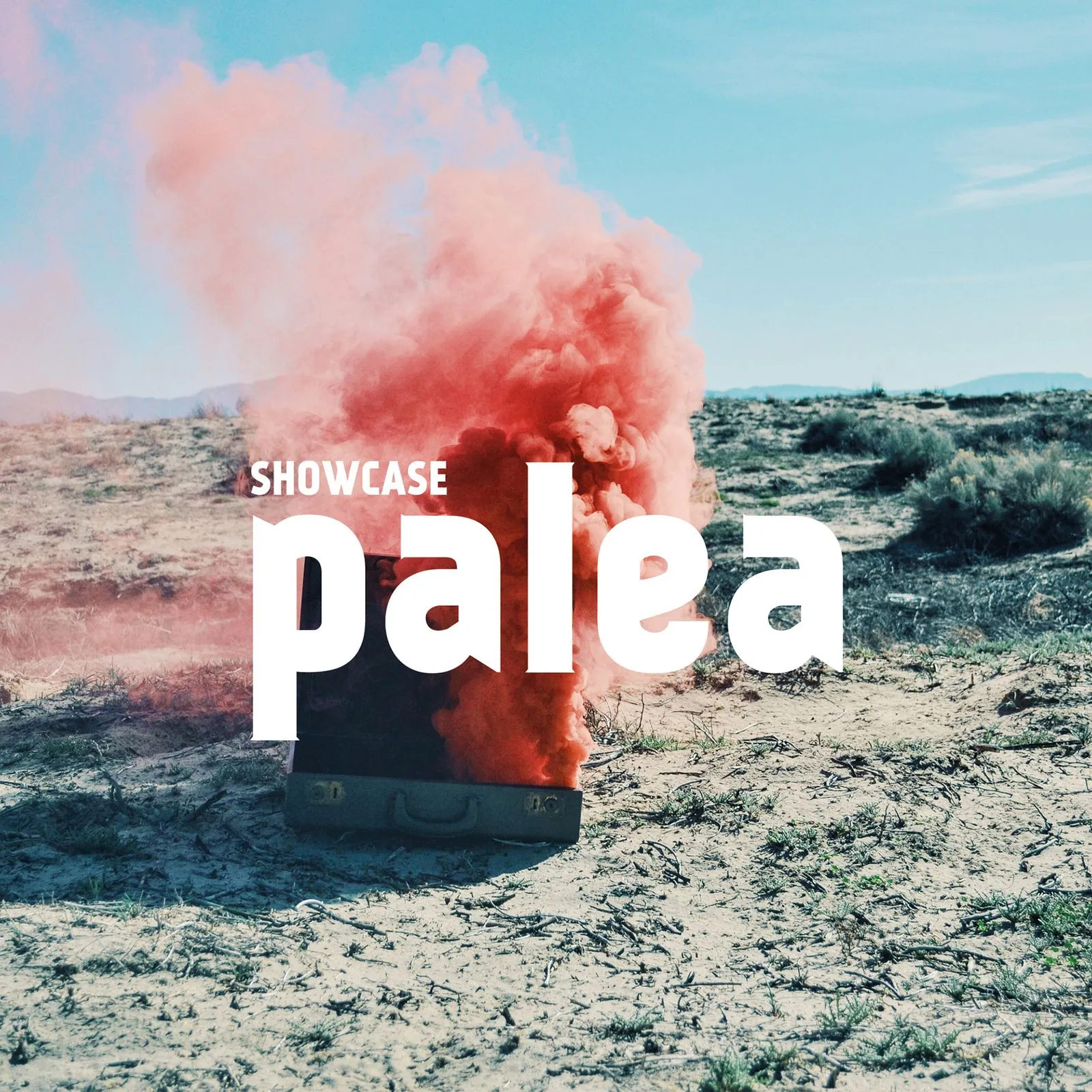 Plakat und Visual für palea Musik, Bild 6
