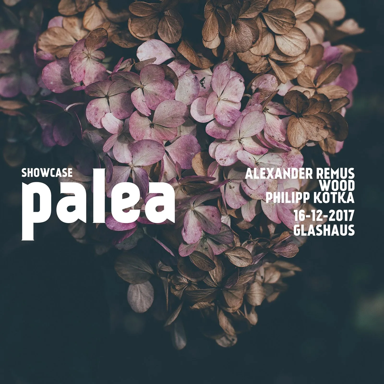 Plakat und Visual für palea Musik, Bild 7