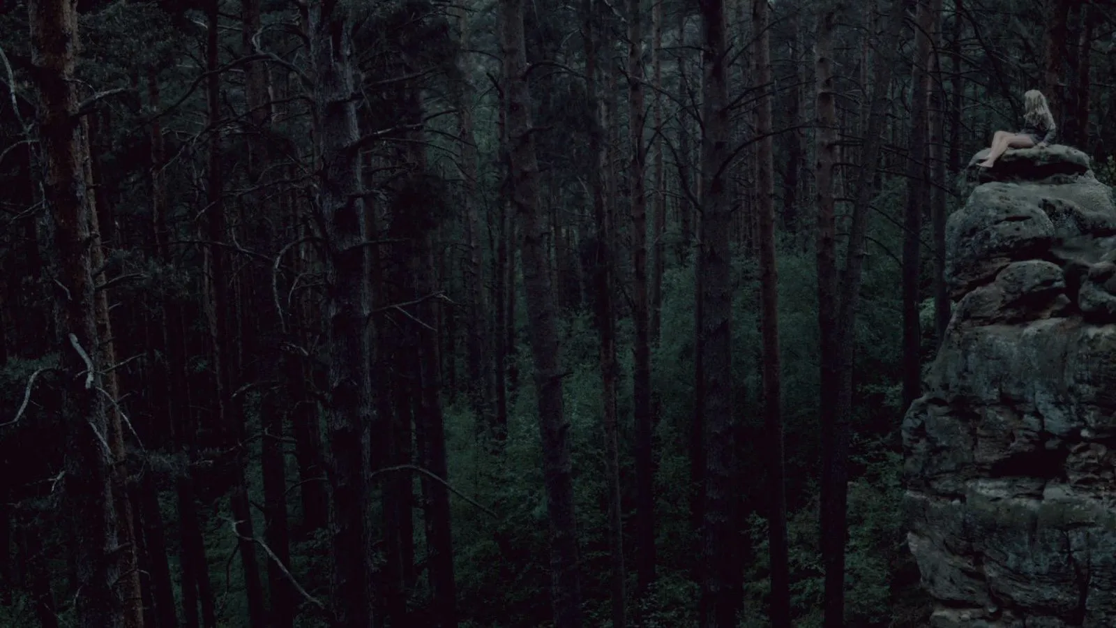 Standbild aus dem Kurzfilm Reynke de Vos, Bild 7