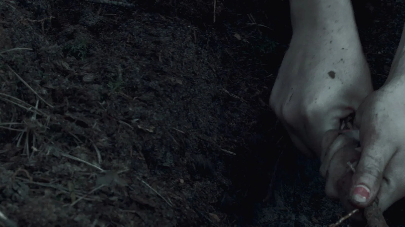 Standbild aus dem Kurzfilm Reynke de Vos, Bild 9