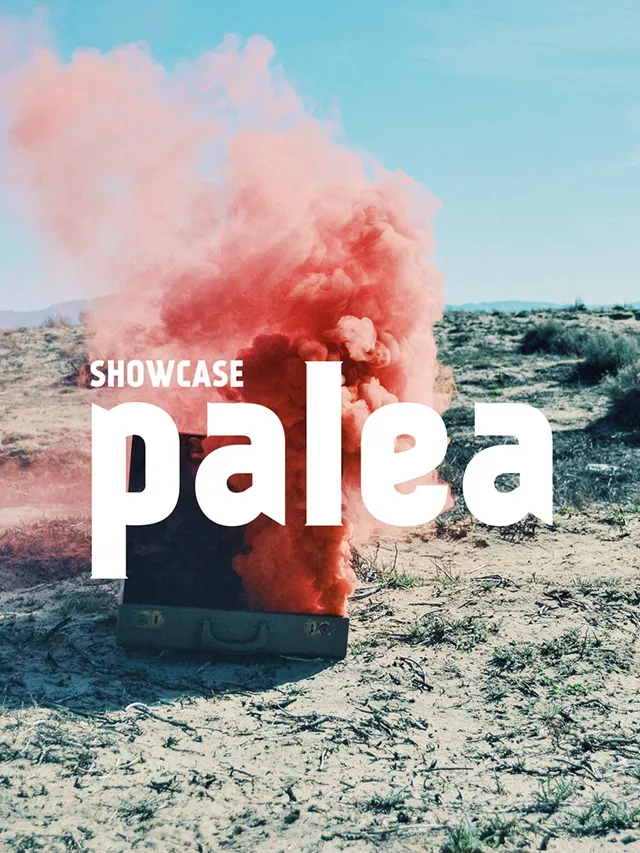Plakat und Visual für palea Musik