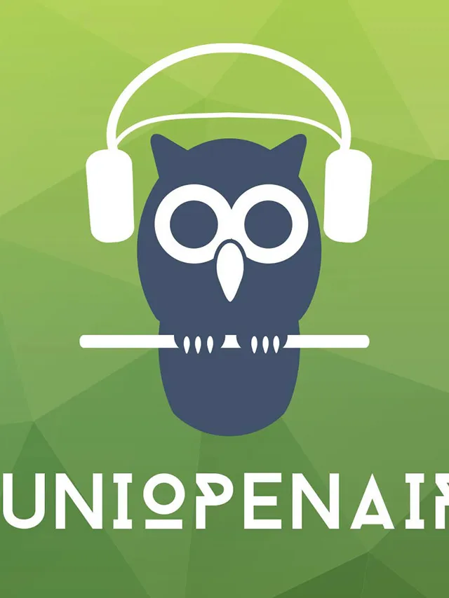 Logo und Print für das Uni Open Air 2014